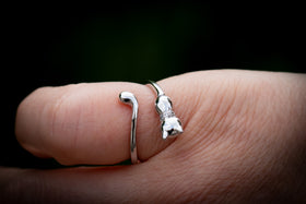cremation cat ring for ashes 1