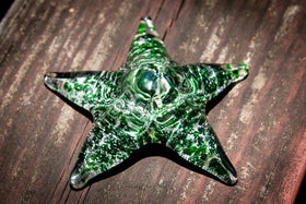 starfish with cremation ash