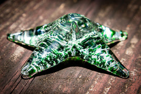 starfish with cremation ash side