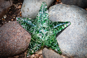 starfish with cremation ash