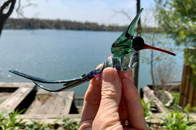 hummingbird with cremation ash