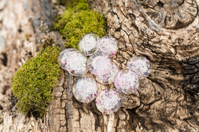 Sharing Stones with Cremation Ash