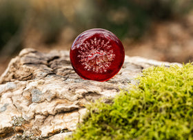 sharing stones with cremation ash