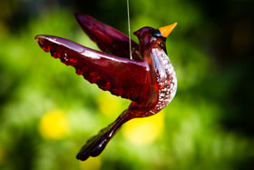 flying cardinal with ashes