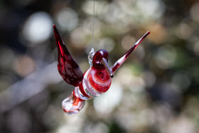 red hummingbird with ash