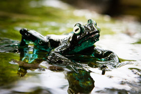 glass frog with cremation ash