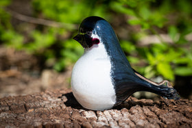 chickadee bird with cremation ashes