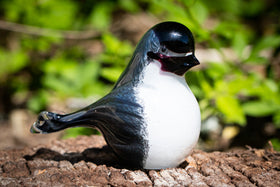 chickadee bird with cremation ashes