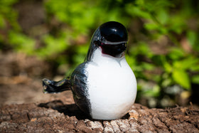 chickadee bird with cremation ashes