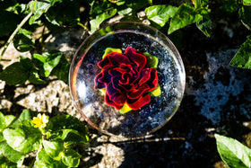 large rose touchstone paperweight with cremation ash