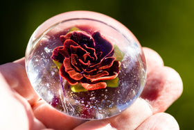 large rose touchstone paperweight with cremation ash