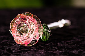 Ashes in Glass Rose