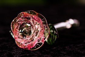 Glass Rose with Ashes in Glass