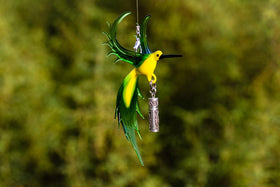 Bee Eater Bird with Silver Keepsake for Ashes