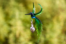 Bird of Paradise with Silver Keepsake for Ashes