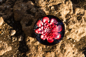 Chrysanthemum Glass Touchstone with Infused Cremains