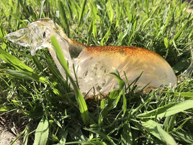 glass dog sculpture with cremation ash in grass