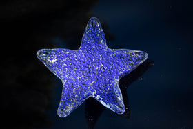 cremation ash in starfish