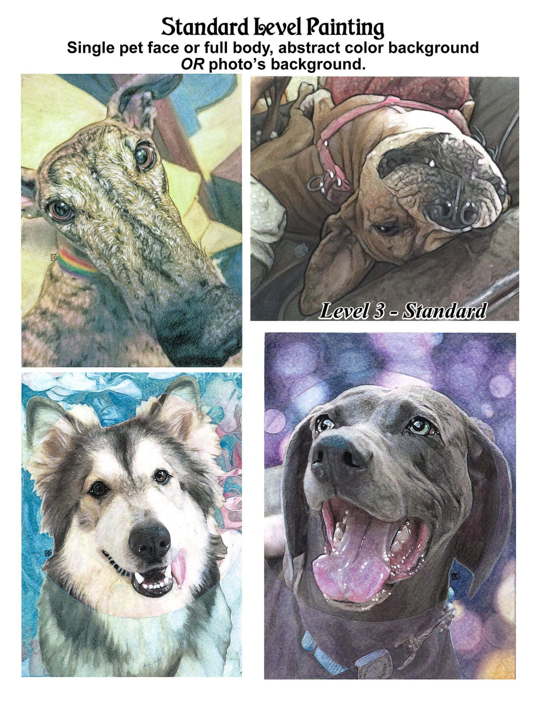 dog portrait
