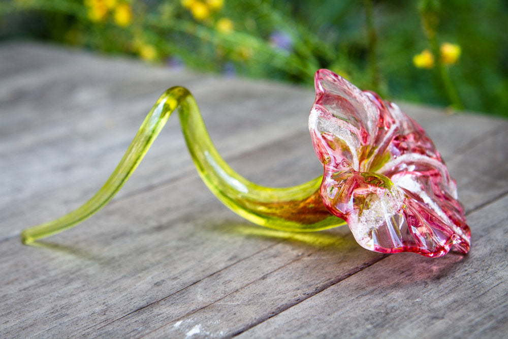 Green curved glass stem and pink flower sculpture resting on a weathered wooden table, a cremation ash infused glass flower.