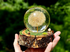 Dandelion Sphere with Woodland Base and Cremation Ashes