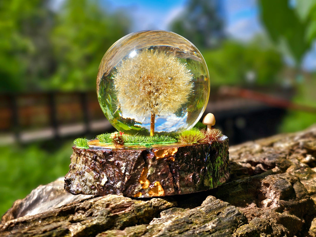 Dandelion Sphere with Woodland Base and Cremation Ashes