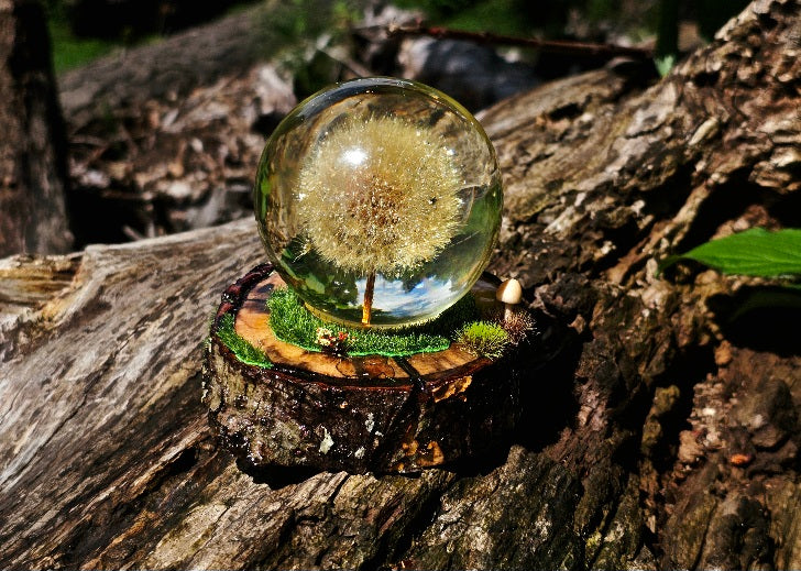 Dandelion Sphere with Woodland Base and Cremation Ashes