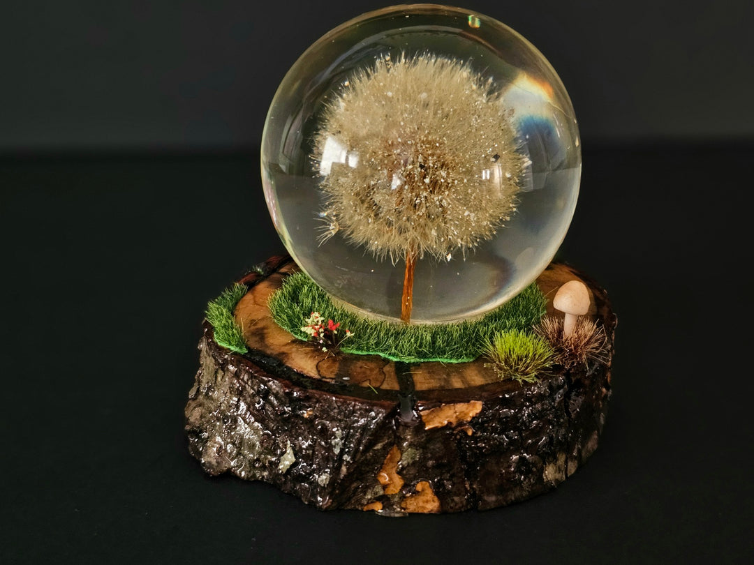 Dandelion Sphere with Woodland Base and Cremation Ashes