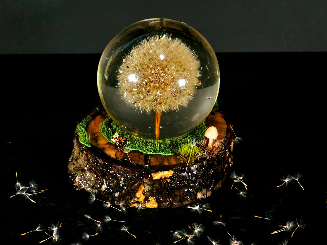Dandelion Sphere with Woodland Base and Cremation Ashes