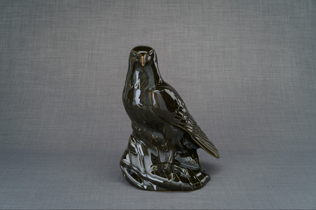 Aquilae glossy black ceramic eagle urn perched on a rocky base