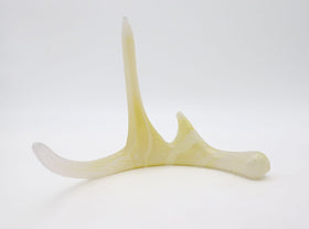 bone white antler with ash