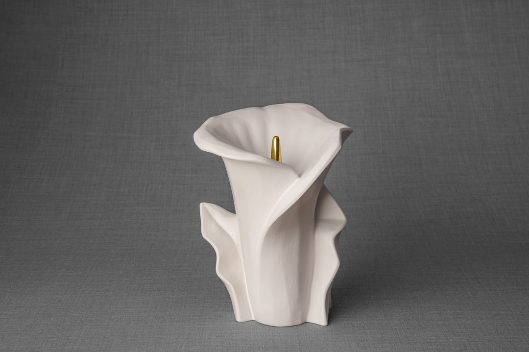 White Calla Lily ceramic urn with sculpted petals and a gold stem, bottom filled.