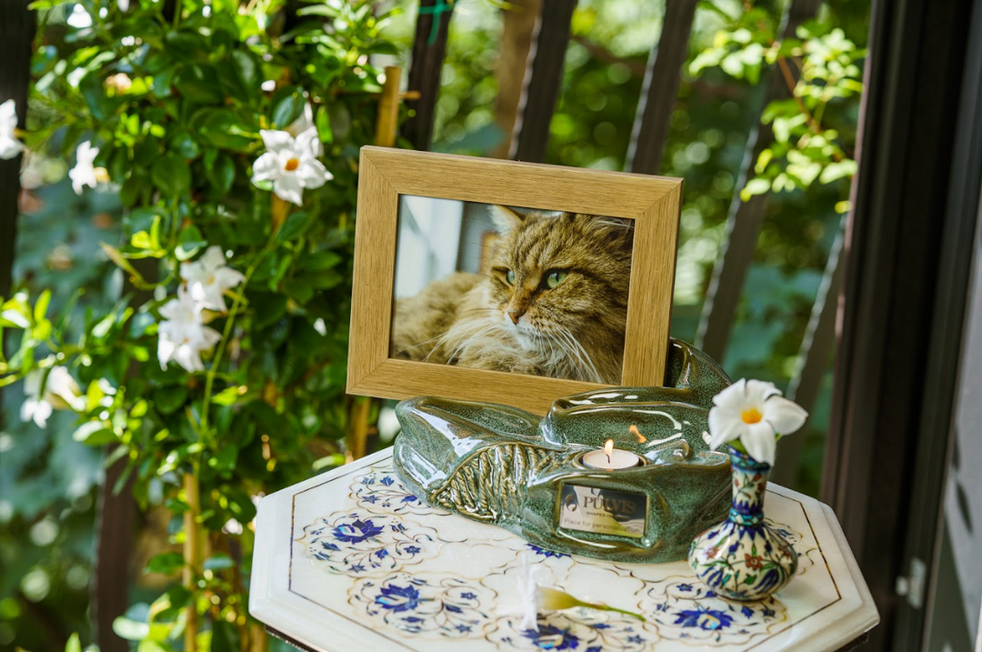 Cozy green ceramic urn with built in wooden photo frame showing a cat portrait and a candle