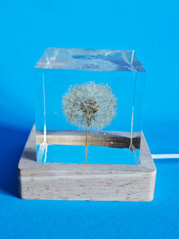 Illuminated Dandelion Paperweight with Cremation Ashes