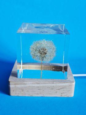 Illuminated Dandelion Paperweight with Cremation Ashes
