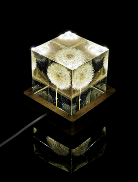 Illuminated Dandelion Paperweight with Cremation Ashes