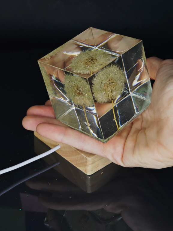 Illuminated Dandelion Paperweight with Cremation Ashes