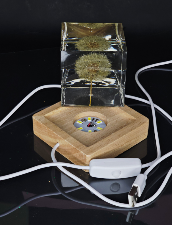 Illuminated Dandelion Paperweight with Cremation Ashes
