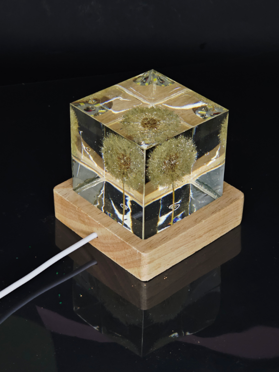 Illuminated Dandelion Paperweight with Cremation Ashes