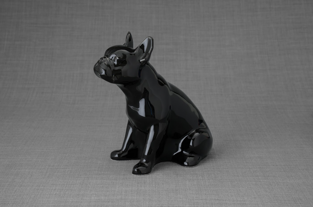 Black glazed French Bulldog ceramic urn sculpture against a gray backdrop