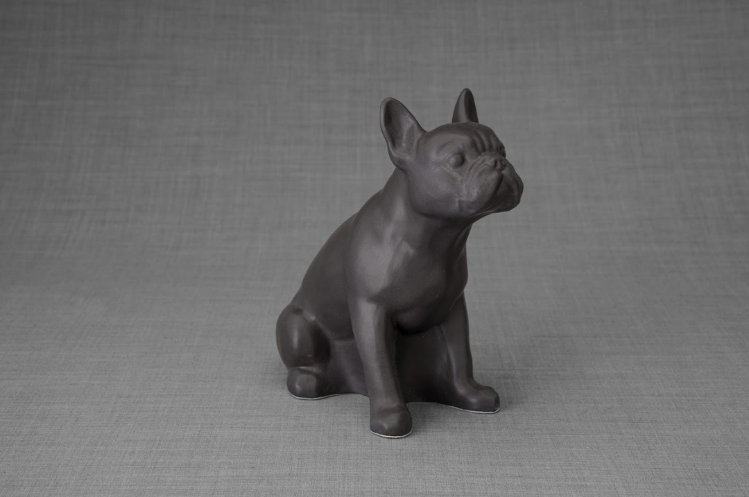 Dark gray ceramic French Bulldog urn in a seated pose against a textured gray background