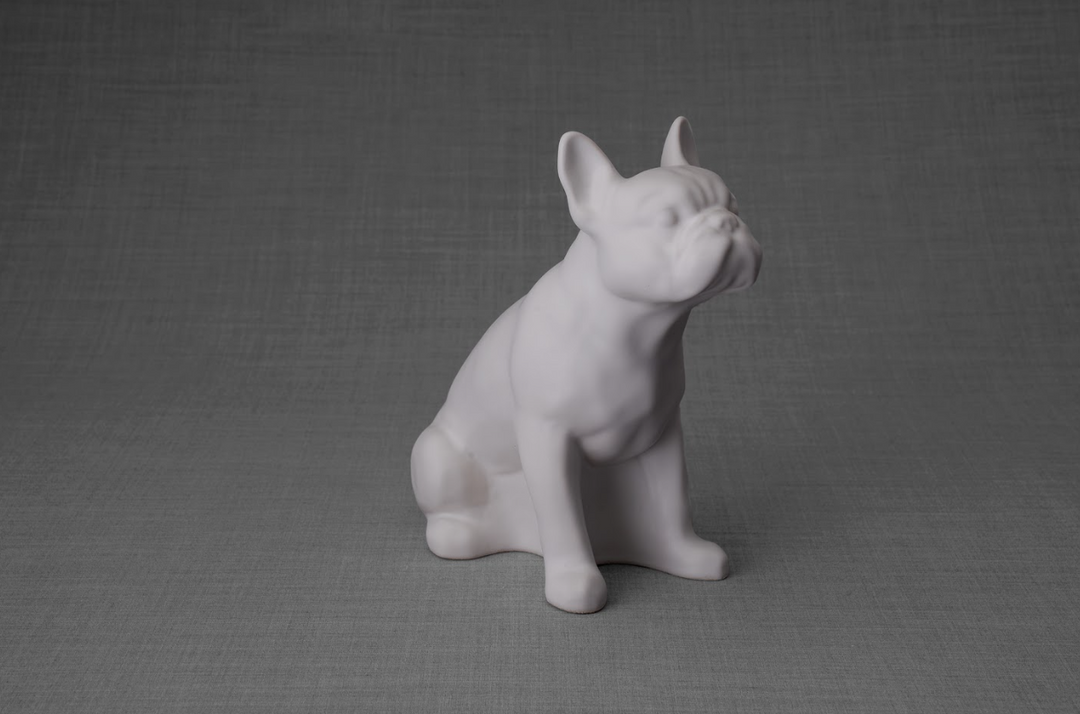 White glazed ceramic French Bulldog urn in a seated pose on a gray backdrop