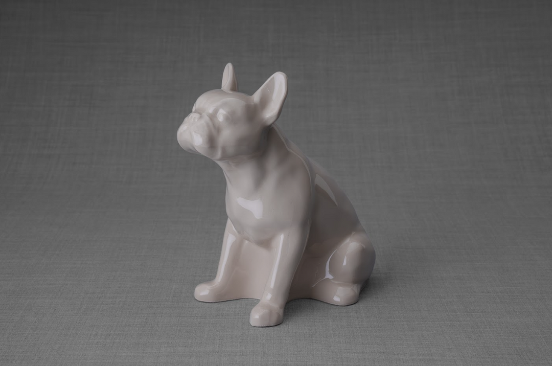 Cream glazed ceramic French Bulldog urn in a seated pose on a gray backdrop