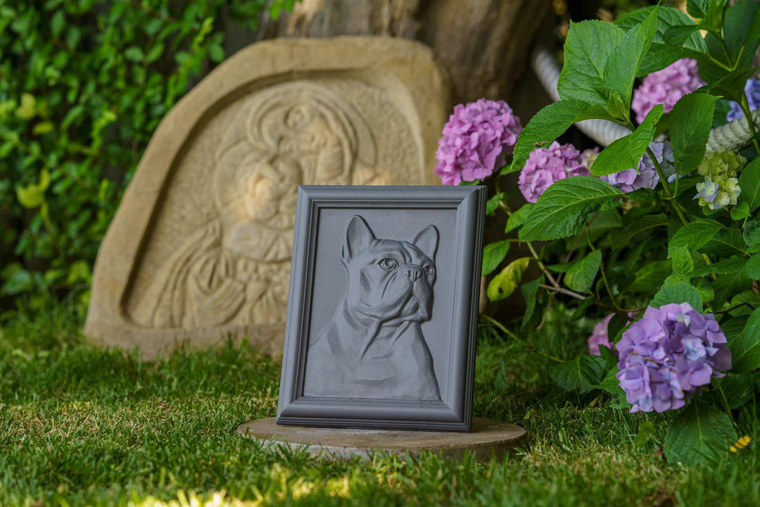 Gray framed dog relief portrait of a French bulldog displayed outdoors on a small pedestal among hydrangeas.