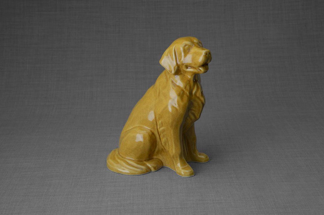 Golden retriever shaped ceramic urn in warm yellow glaze seated against a gray backdrop.