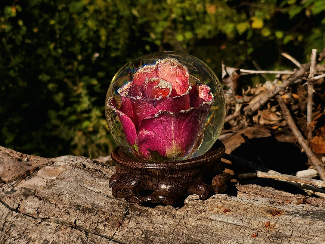 Large Frosted Rose with Wooden Base and Cremation Ashes