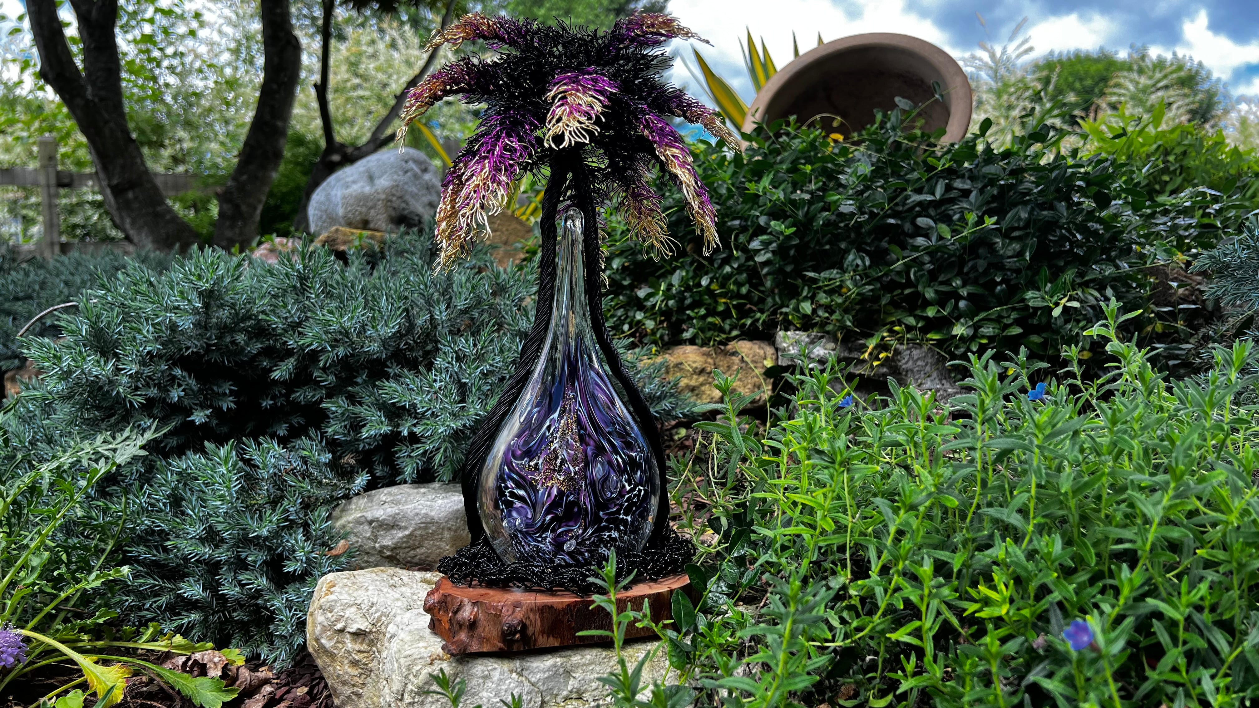 ponytail palm vase life Ponytail Palm Tree with Purple Nebula Flame