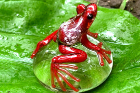 glass peeper frog with cremation ash in red