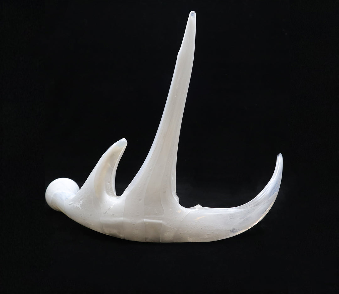 Single white deer antler sculpture with cremation ash visible in lighter banding against a black background