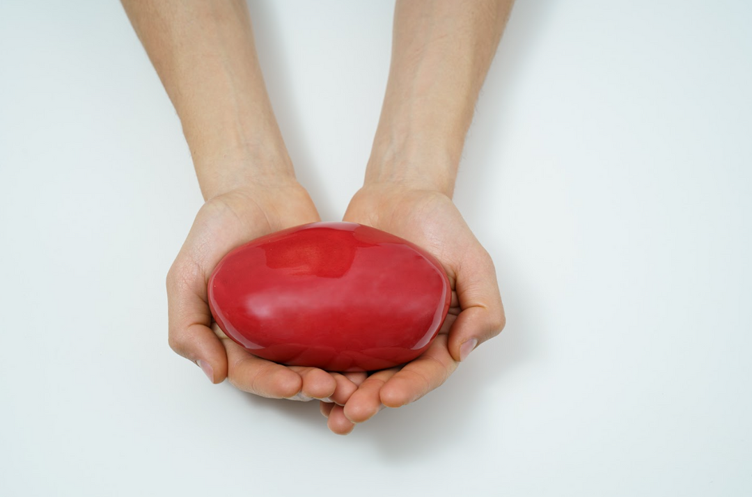 Hands cupping a glossy red stone color sample for the Stone Ceramic Urn